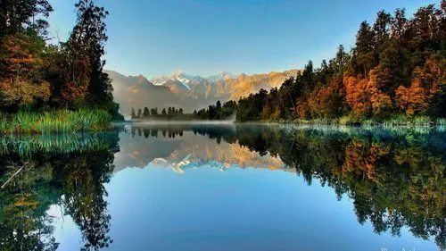 高效独特工业